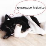 Perro con papel Higienico