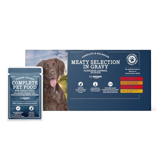 by Amazon Alimento Completo Para Perros Adultos - Selección de carne en salsa, 4,8kg (48 Paquetes de 100g)