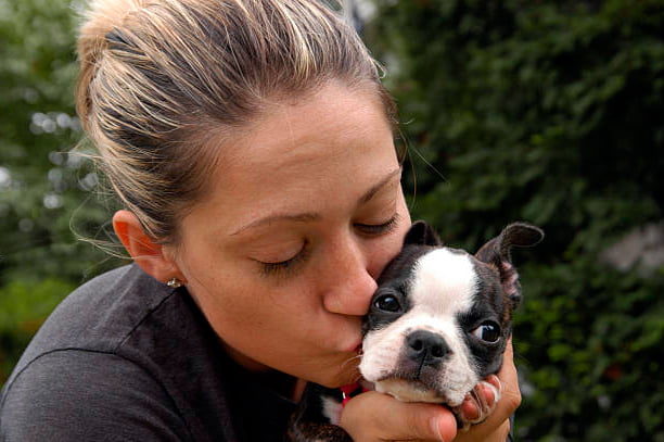 mujer besando un cachorro boston terrier