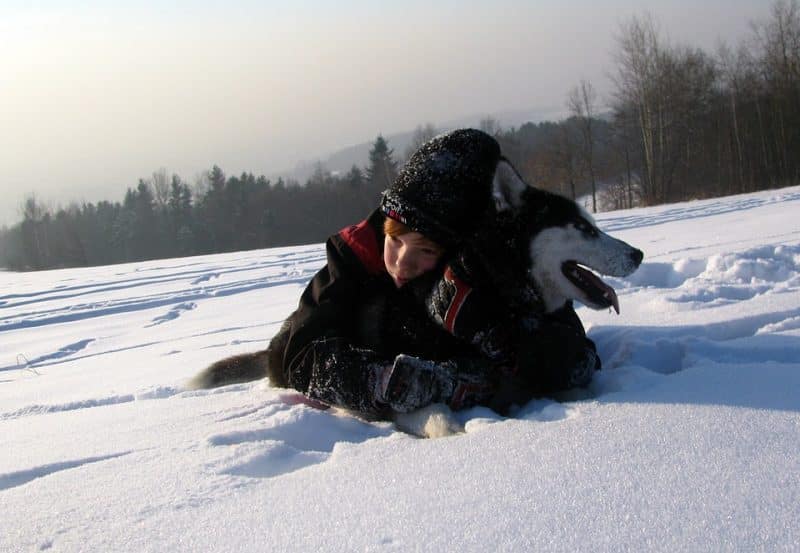 niño jugando con un Husky siberiano