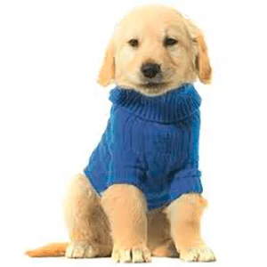 ropa para perros