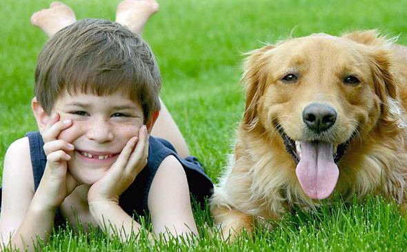 razas de perros pequeños y medianos para niños