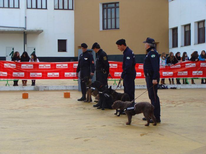 presentacion de perros policía auspiciada por royal canin