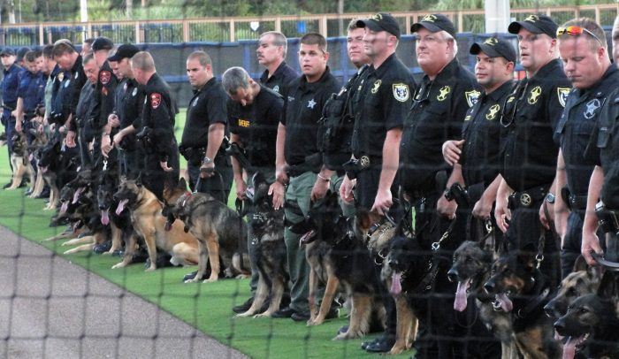 presentación de un grupo de perros policía