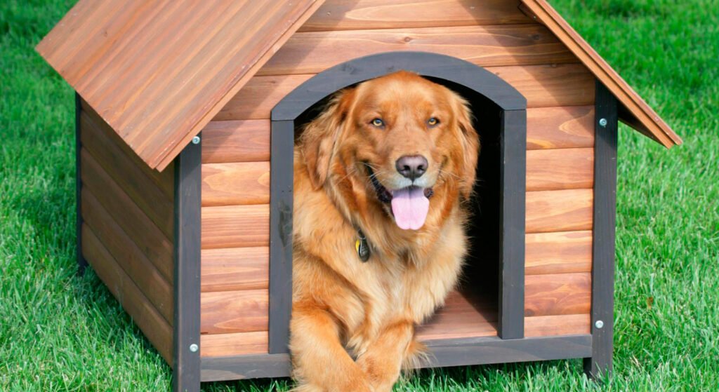 casetas de madera para perros