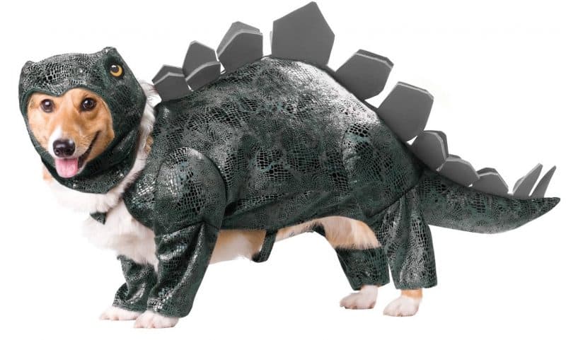 disfraz de dinosaurio para perros