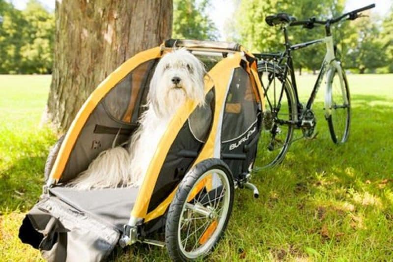 escoger un remolque para perros de bicicleta adecuado a su tamaño