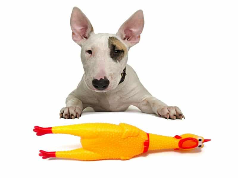 juguetes para perros razas medianas y grandes