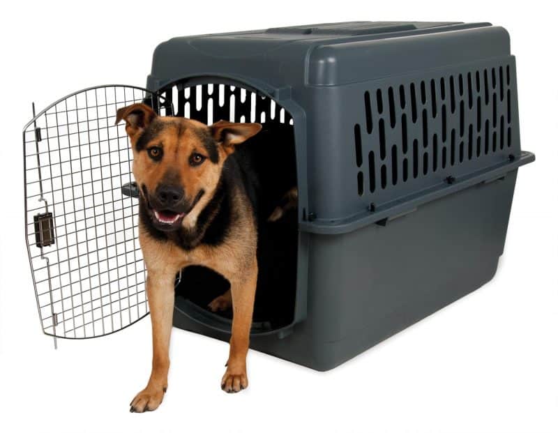ventajas de las jaulas para perros