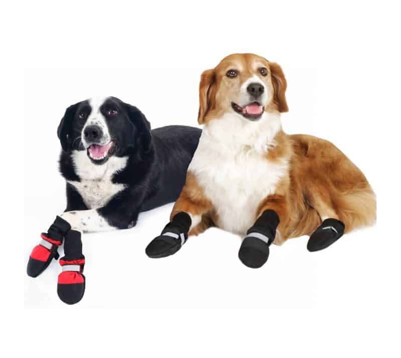 zapatos para perros